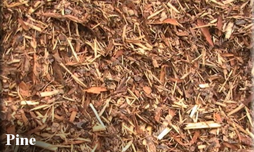 Pine Mulch